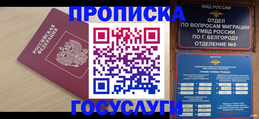 прописка законно в Чайковском